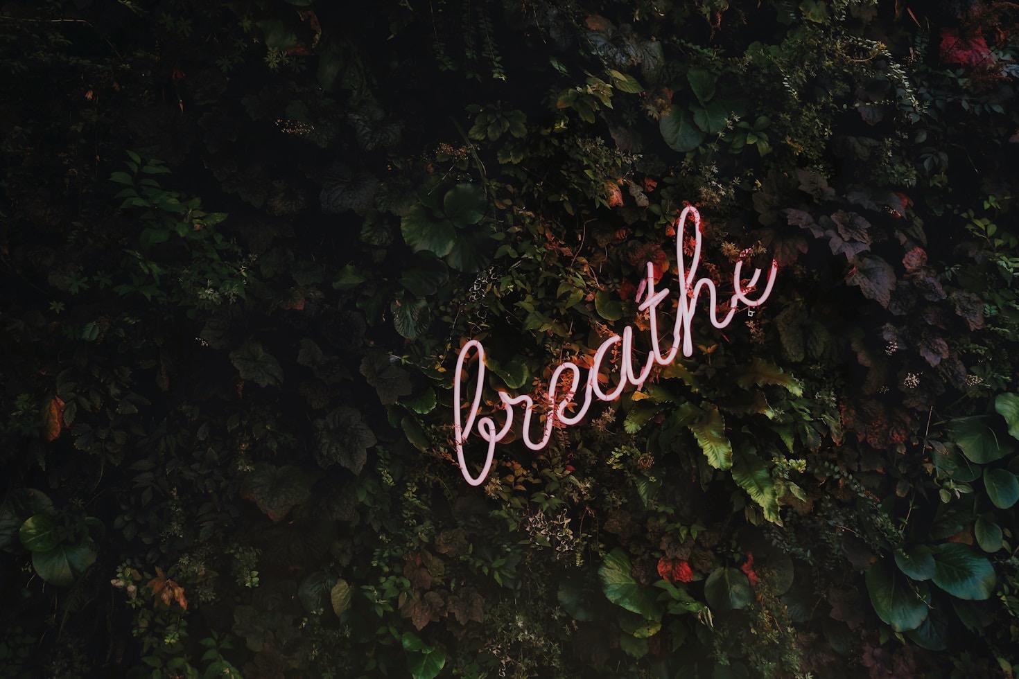 The Intersection of Expertise and Mindfulness in Coaching