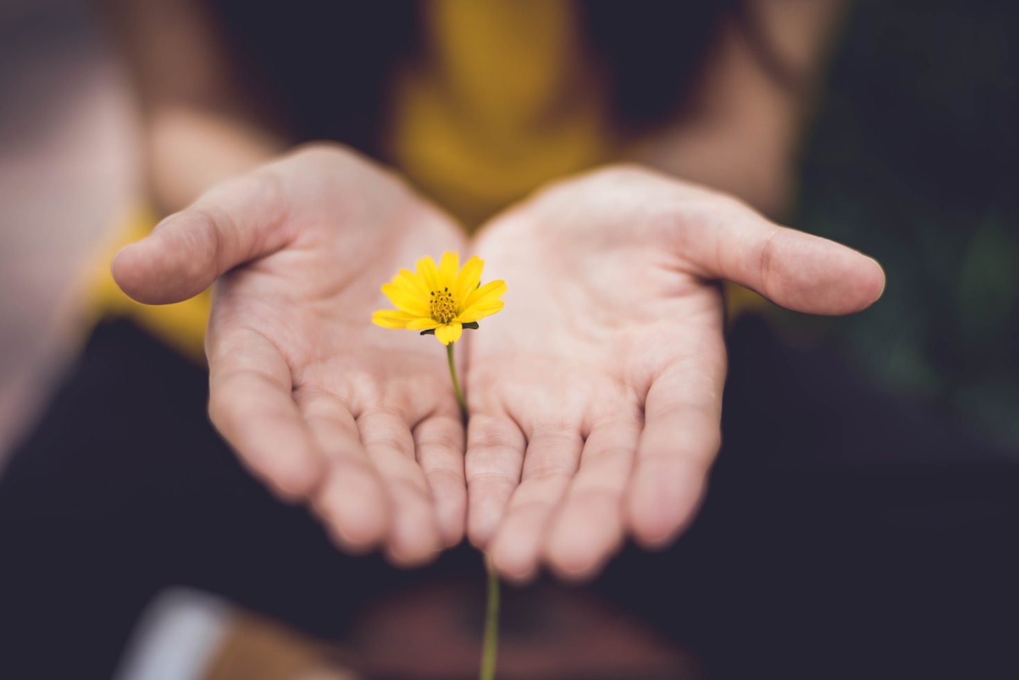 Empowering Individuals Through Mindful Coaching Practices